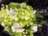 Flower Expressions