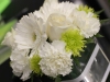 Wilma\'s Flowers